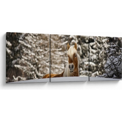 Obraz - Kôň v zimnej krajine, trojdielne 150x50 cm