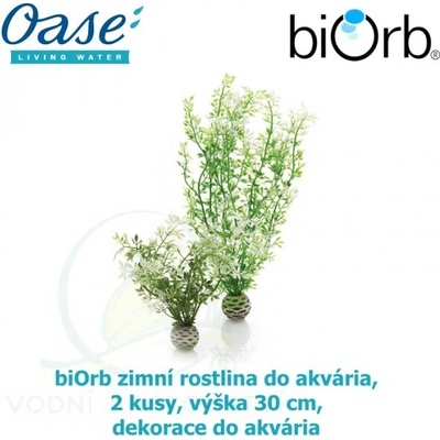 Biorb zimní rostlina 2 ks, 30 cm 46067