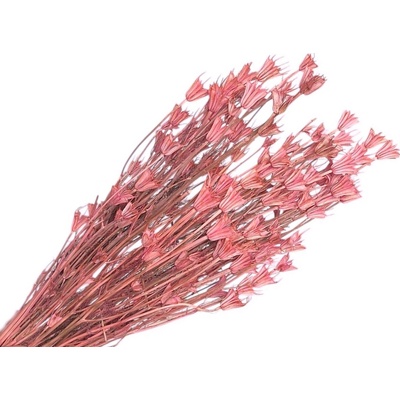 Sušené kvety Černuška - Nigella orientalis 100g - bielené ružové