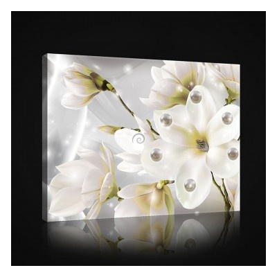 Obraz na plátne obdĺžník - OB0991 - Biele kvety 80cm x 60cm - O6