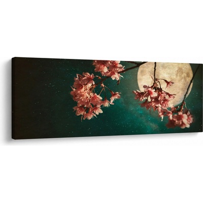 Obraz - Sakura v splne, jednodielne 145x58 cm