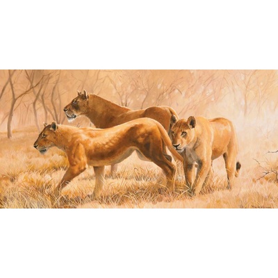 Lvi 1 deska 100x50