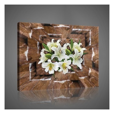 Obraz na plátne obdĺžník - OB1037 - Biele kvety 60cm x 40cm - O4