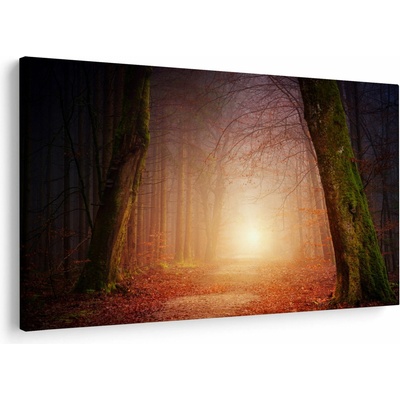 Obraz podzimního lesa v mlze, jednodílný 90x60 cm