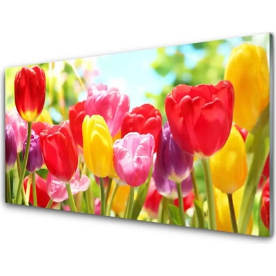 Skleněné obklady do kuchyně Tulipány Květiny Rostlina 100x50 cm