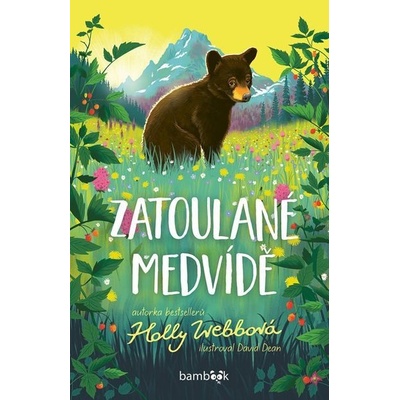 Zatoulané medvídě - David Dean, Holly Webbová – Hledejceny.cz