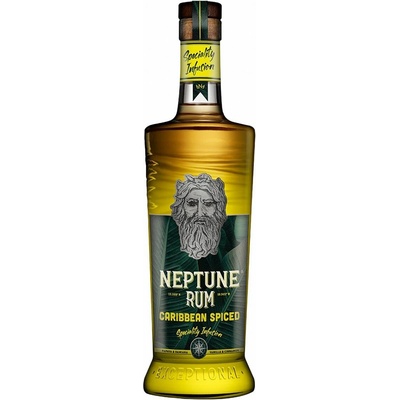Neptune Spiced 40% 0,7 l (holá láhev)