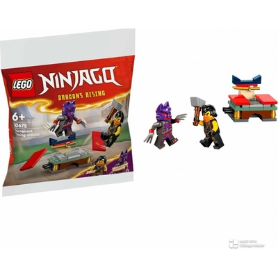 LEGO® 30675 Figurky Cole / Dragons Rising