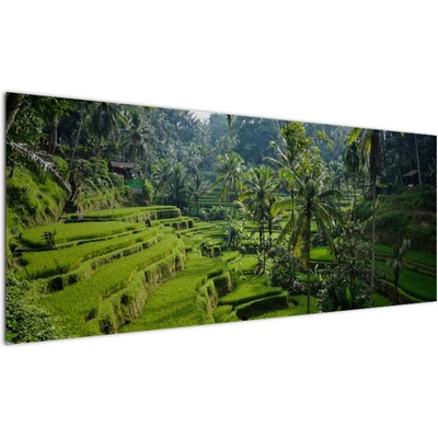 Obraz rýžových teras Tegalalang, Bali, jednodílný 145x58 cm