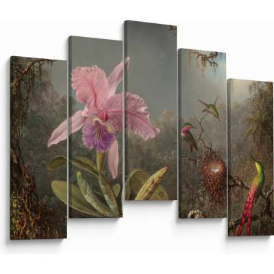 Obraz - Martin Johnson Heade, Cattleya Orchid and Three Hummingbirds, reprodukcia, päťdielne 125x90 cm