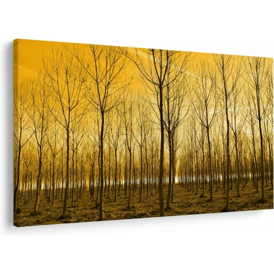 Obraz lesa při západu slunce, jednodílný 120x80 cm