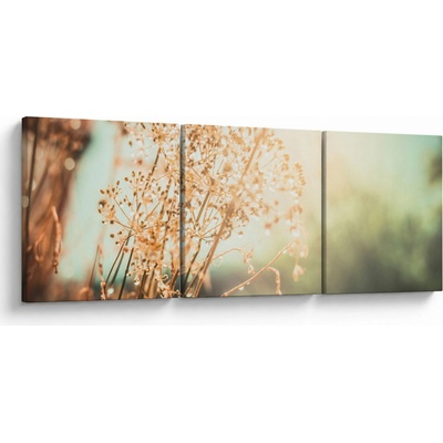 Obraz - Rastliny po daždi, trojdielne 90x30 cm
