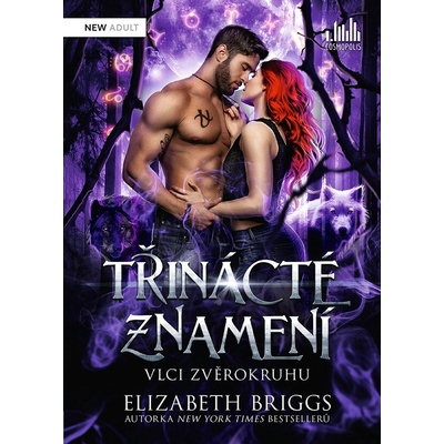 Třinácté znamení - Elizabeth Briggs – Hledejceny.cz