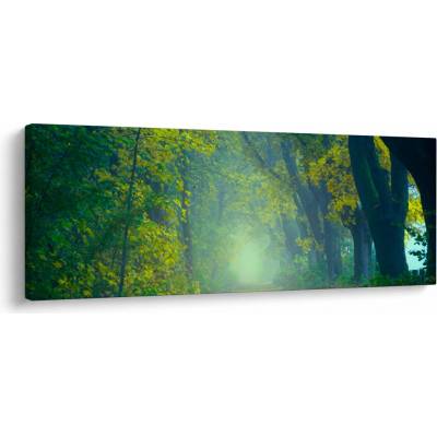Obraz cesty lemované stromy, jednodílný 145x58 cm