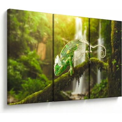 Obraz chameleona, třídílný 120x80 cm