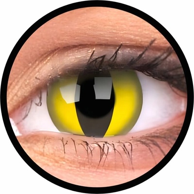 MaxVue Vision ColourVue Crazy čočky Cat Eye 2 ks tříměsíční nedioptrické – Hledejceny.cz