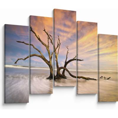 Obraz stromu v oceánu, pětidílný 125x90 cm
