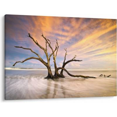 Obraz stromu v oceánu, jednodílný 100x70 cm