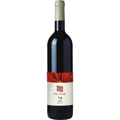 Galil Mountain Winery (יקב הרי גליל) Galil Mountain Winery Merlot suché červené 2020 14,5% 0,75 l (holá láhev)
