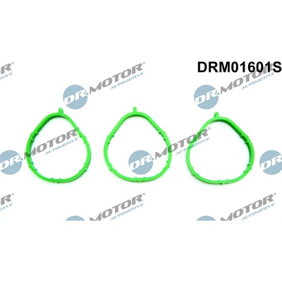 DR.MOTOR AUTOMOTIVE Sada tesnení kolena nasávacieho potrubia DRM01601S