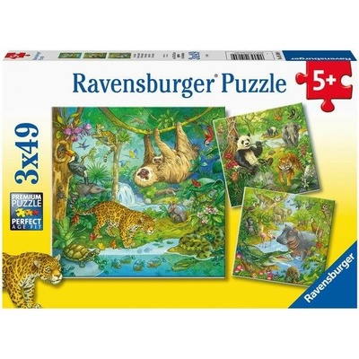 Ravensburger 051809 Zvířata v džungli 3x49 dílků