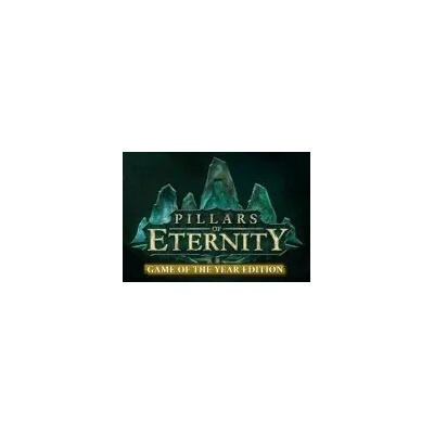 Pillars of Eternity GOTY