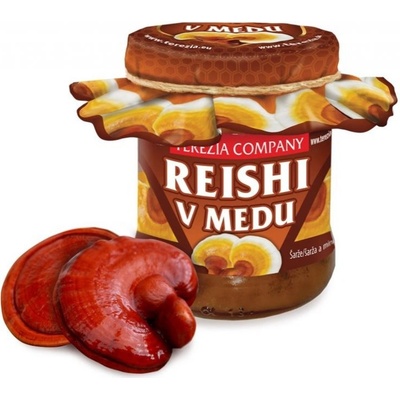 Terezia Company Reishi v medu 250 g