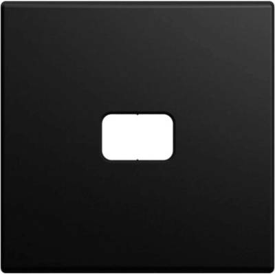 Busch-Jaeger 2CKA001731A4050