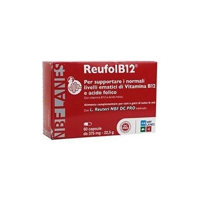 NBF Lanes Srl ReufolB12 pre psy a mačky 60cps