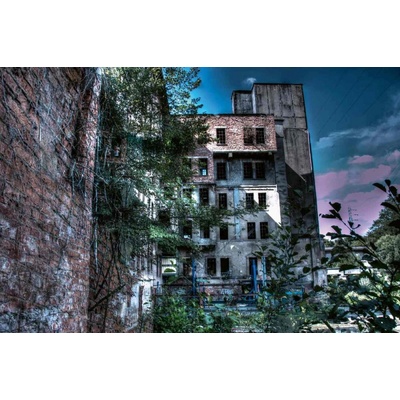 Dimex MS-5-0856 Vliesová fototapeta Opuštěný vodní mlýn rozměry 375 x 250 cm