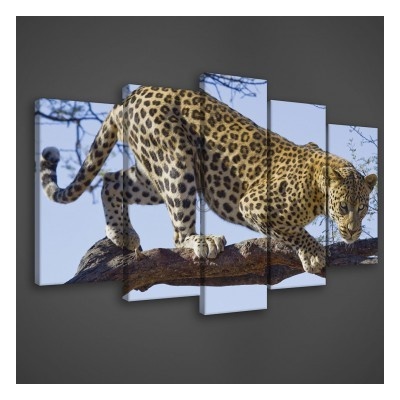 Obraz na plátne viacdielny - OB3413 - Leopard 100cm x 60cm - S17