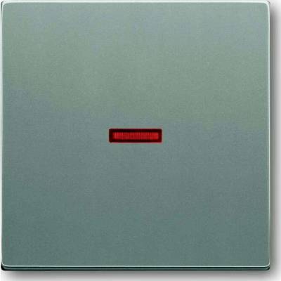 Busch-Jaeger 2CKA001751A3013