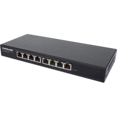Intellinet 561679