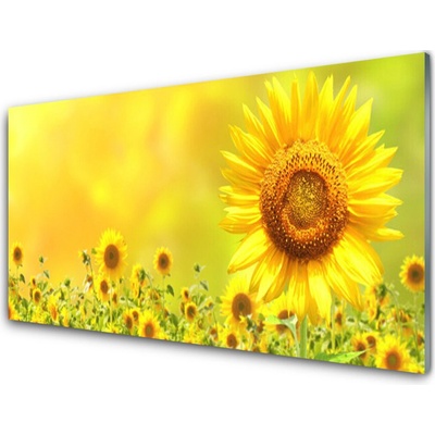 Obraz na skle Slunečnice Květ Rostlina 100x50 cm