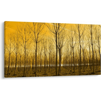 Obraz lesa pri západe slnka, jednodielne 120x70 cm