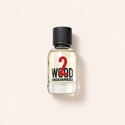 Dsquared2 2 Wood toaletní voda unisex 50 ml