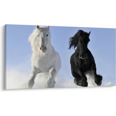 Obraz - Kone v zime, jednodielne 120x70 cm