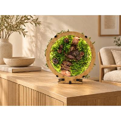 Li-Go "Mechové zátiší" lampa 20x22 cm provedení povrchu: dub světlý