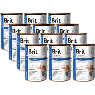Brit Veterinary Diets GF cat & dog Recovery salmon 12 x 400 g