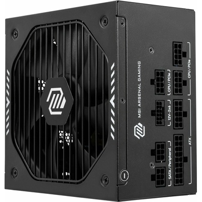 MSI MAG A650GLS PCIE5 650W 306-7ZPHY11-HD8