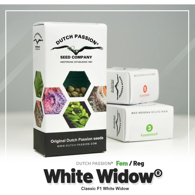 Dutch Passion White Widow semienka neobsahujú THC 10 ks