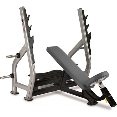 BH FITNESS L820
