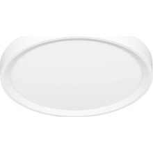 Ecolite W007-CCT/50W/BI