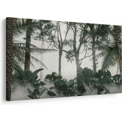Obraz - Jungle v rannej hmle, jednodielne 120x80 cm