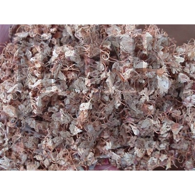 Bylinná lékárna Kaštan koňský Jírovec maďal květ Aesculus hippocastanum flos 500 g