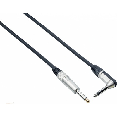 Bespeco XCP600