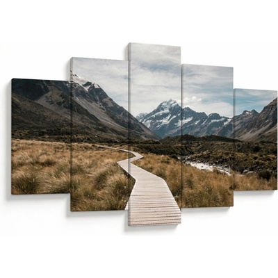 Obraz - Chodník v údolí hory Mt. Cook, pětidílný 150x105 cm