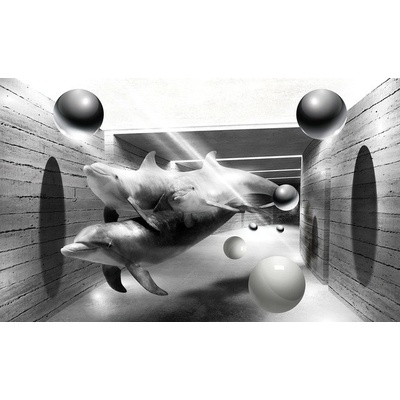 Preinterier FT5141 Fototapeta na stenu 3D delfíny vlies 152cm x 104cm