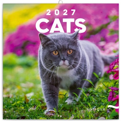 NOTIQUE Nástenný poznámkový Cats Mačky 2027