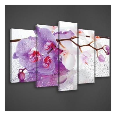Obraz na plátne viacdielny - OB3376 - Fialová orchidea 100cm x 60cm - S17